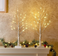 Christmas Decorations, 2FT Birch Tree with LED Lights, Warm White Light up Tree Lamp, Artificial Trees for Home Table Inside, Battery Powered